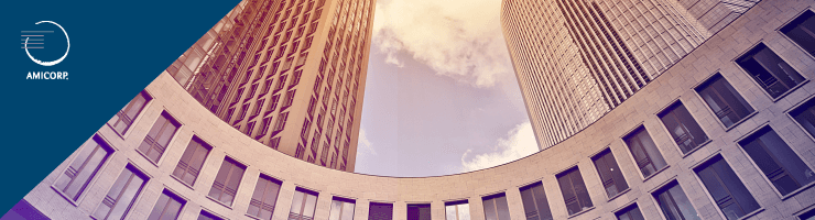 Amicorp Germany - GmbH Liquidation Services