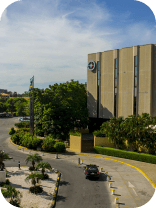 Image-1